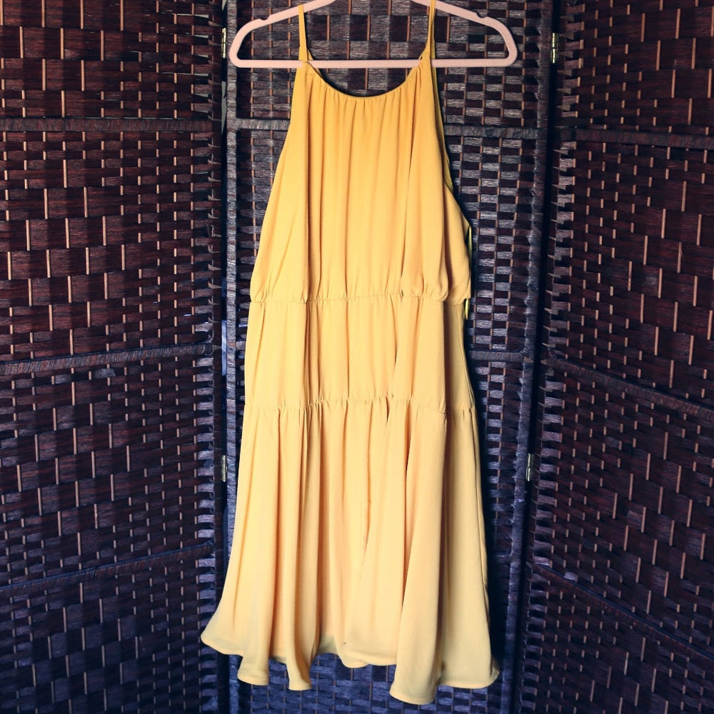 Plus Size Dress